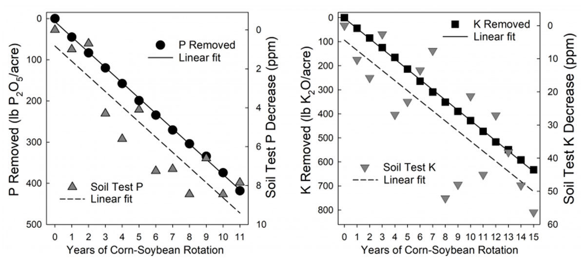 Relationship between cumulative P and K graph